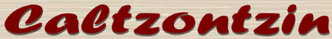 servicios